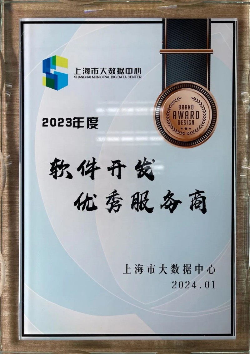 上海软件开发行业新风向：智慧创新引领未来